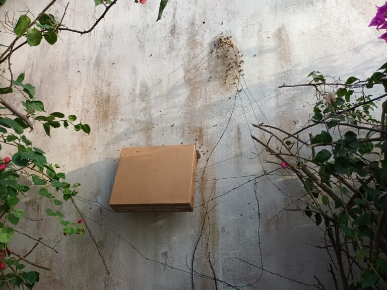 IMG_20220409_162604524