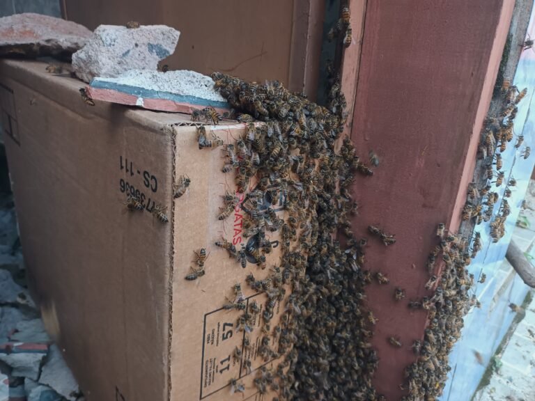 IMG_20220421_163143065