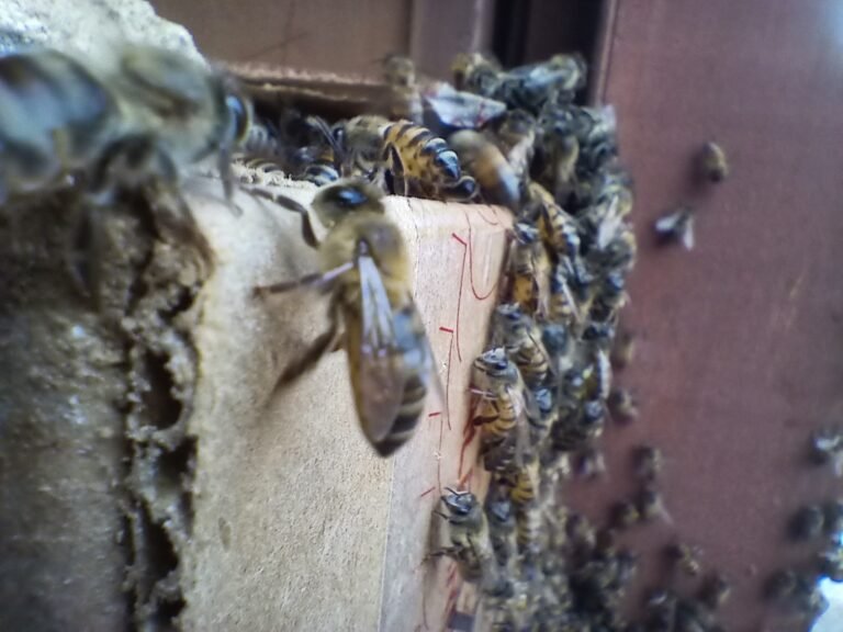 IMG_20220421_163234709