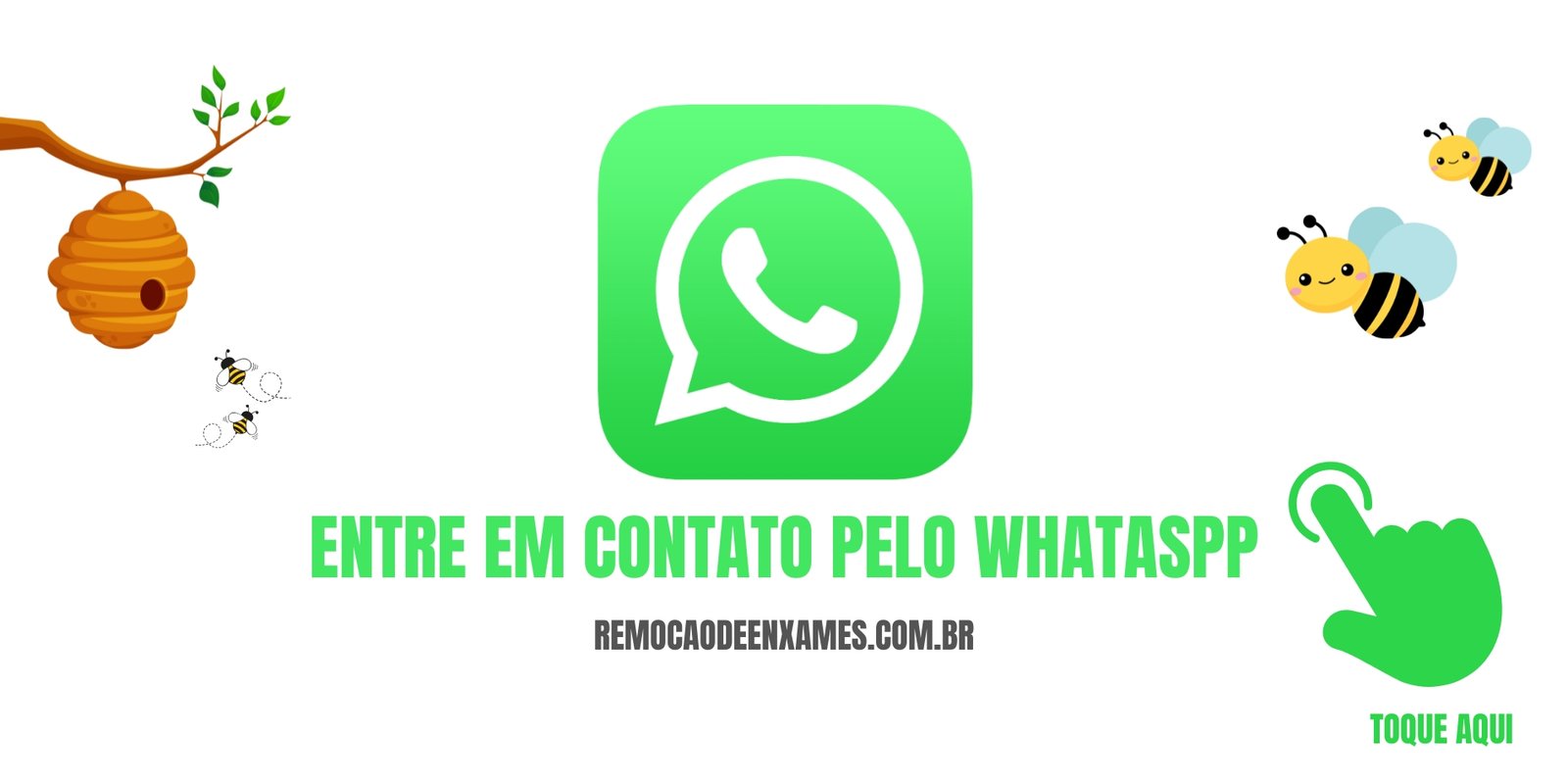 Remoção Abelhas e Marimbondos Região dos Lagos​